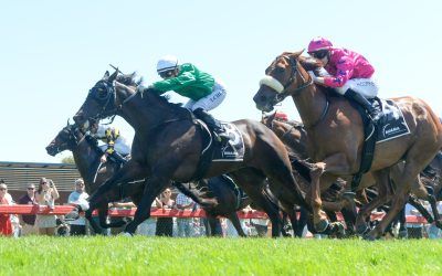 Imperial Lad Wins the 2024 Echuca Cup