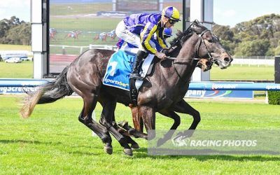 Kahhof Salutes at Sandown