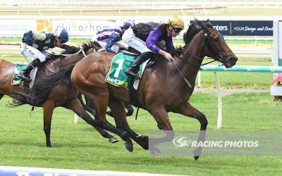 Lochlorian Scores Maiden Win at Bendigo