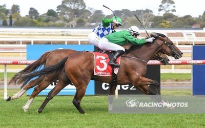 Hearcomesthestar Too Strong at Geelong