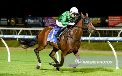 Bob Runs Them Ragged at Pakenham