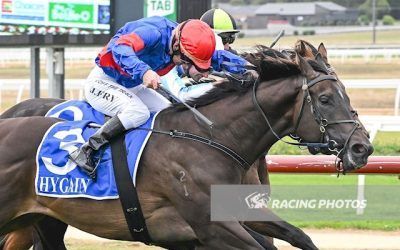 Affirmative Lad Scores Maiden Win at The Bool