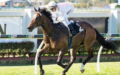Fiery Heights chases Magic Millions berth