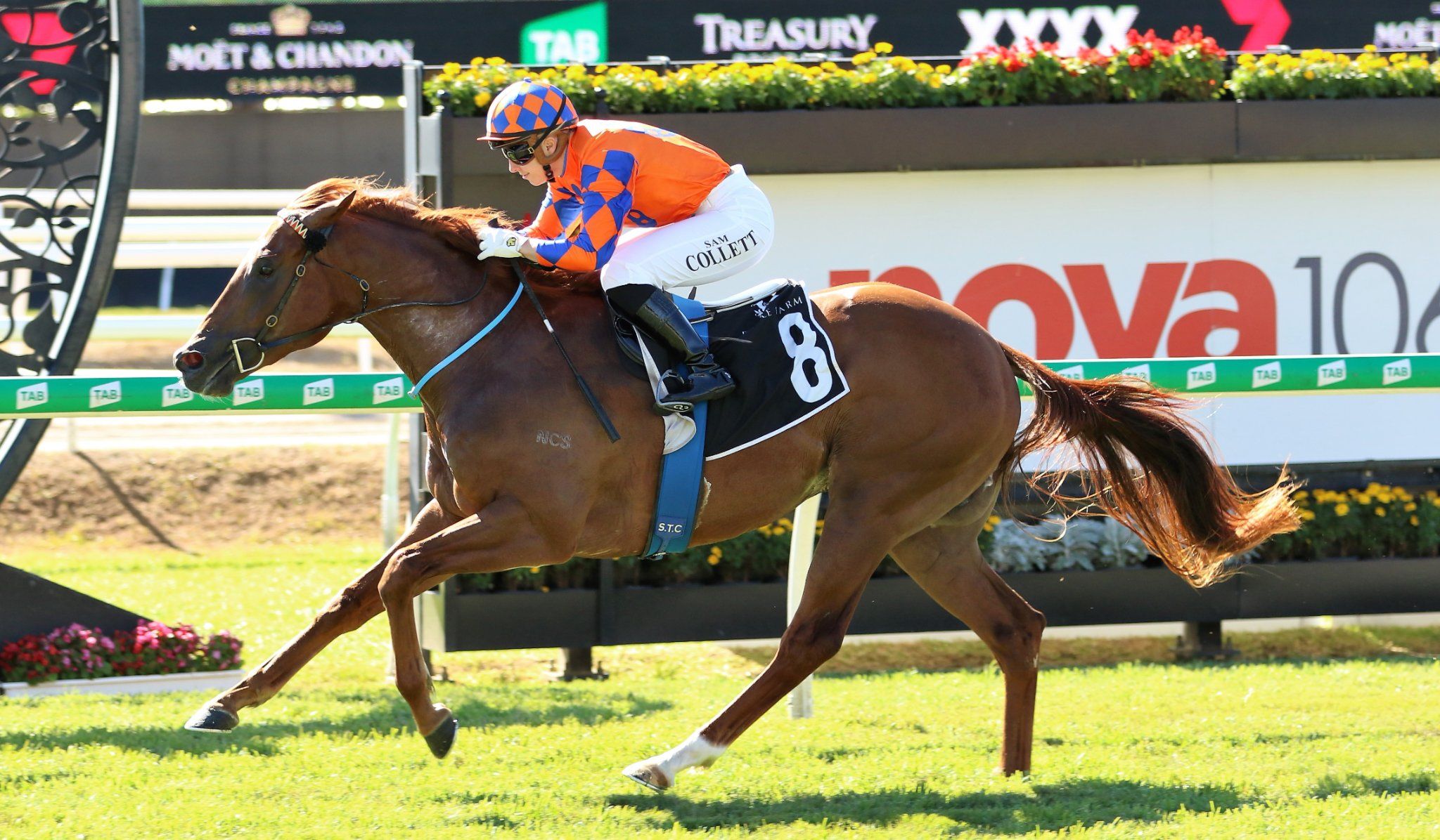 Johnny Rocker wins Oxlade Stakes. - Barry Lockwood Racing