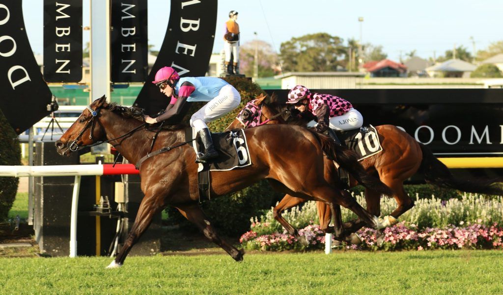 Patronus Racing New stable acquisition, Petronius, wins first-up. - Lockwood Vincent Racing