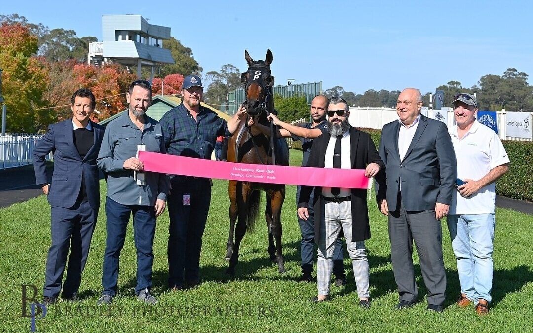 New Horse Syndicates