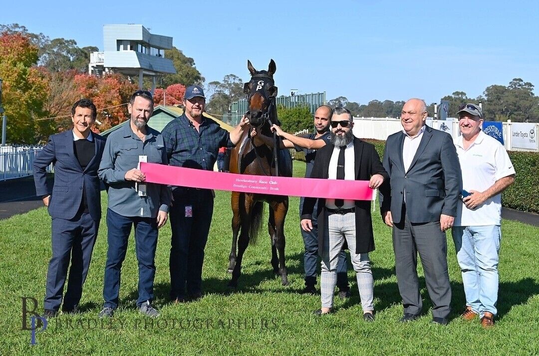 New Horse Syndicates