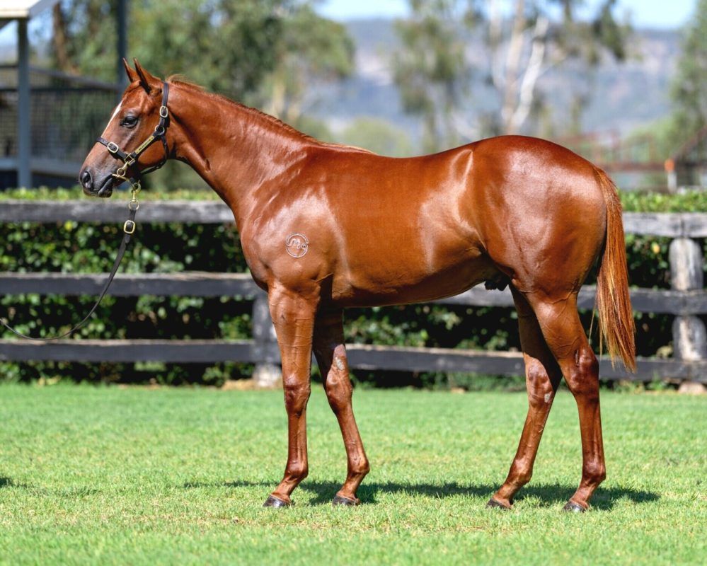 Capitalist – Sensibility