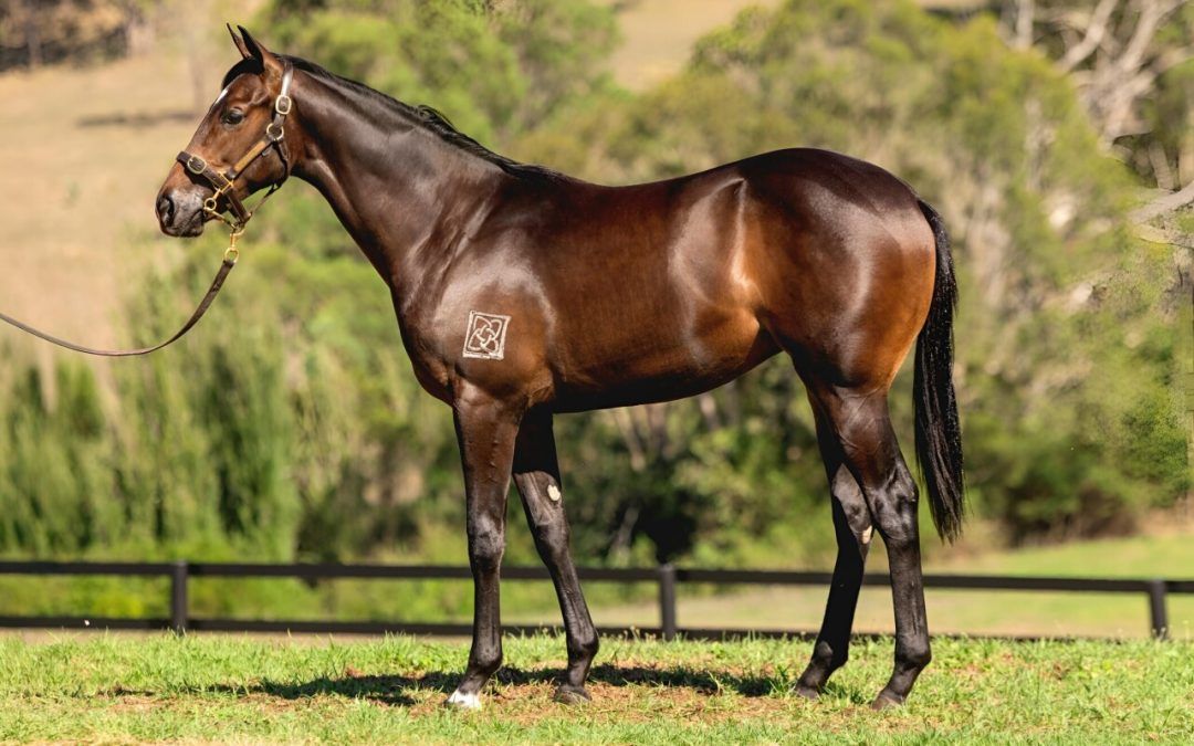 Hellbent – Tender Mercies