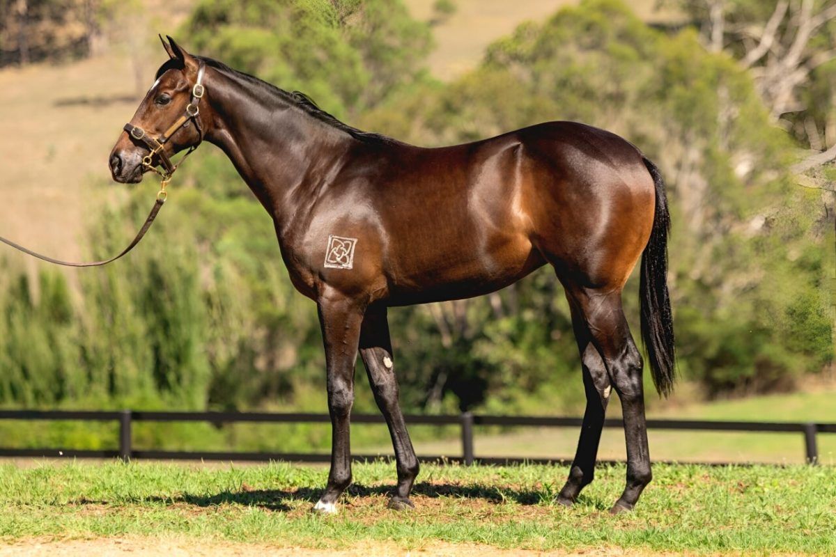 Hellbent – Tender Mercies