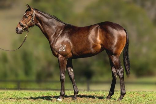 Hellbent - Tender Mercies