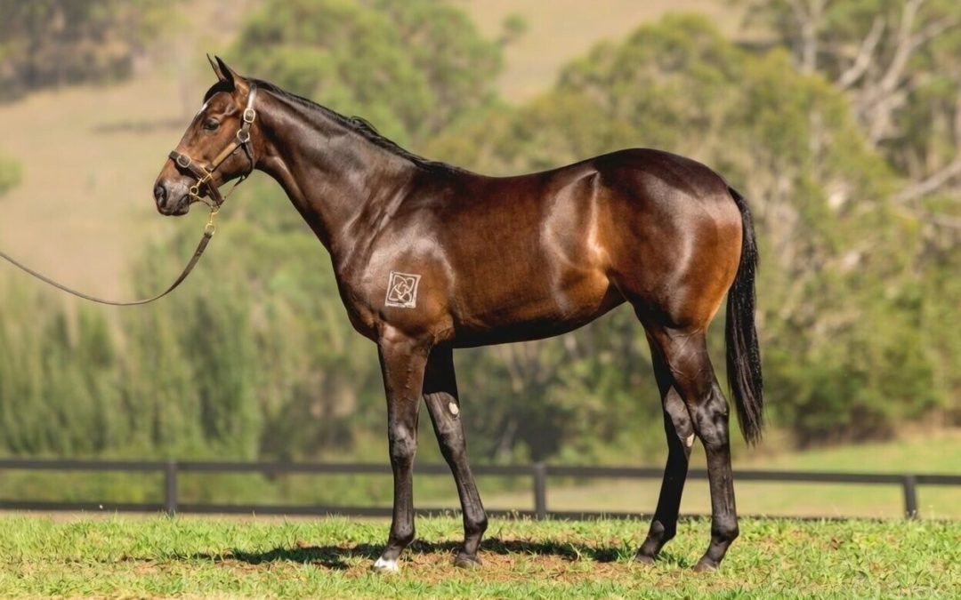 Hellbent – Tender Mercies