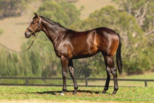 Hellbent - Tender Mercies