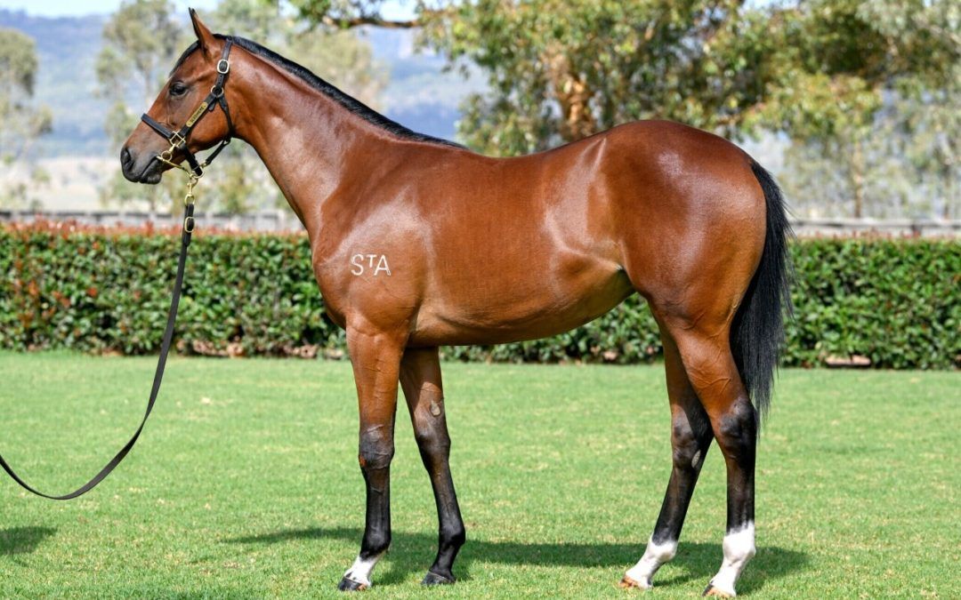 Hellbent – Lucky Legacy