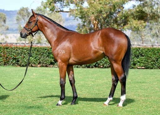 Hellbent - Lucky Legacy