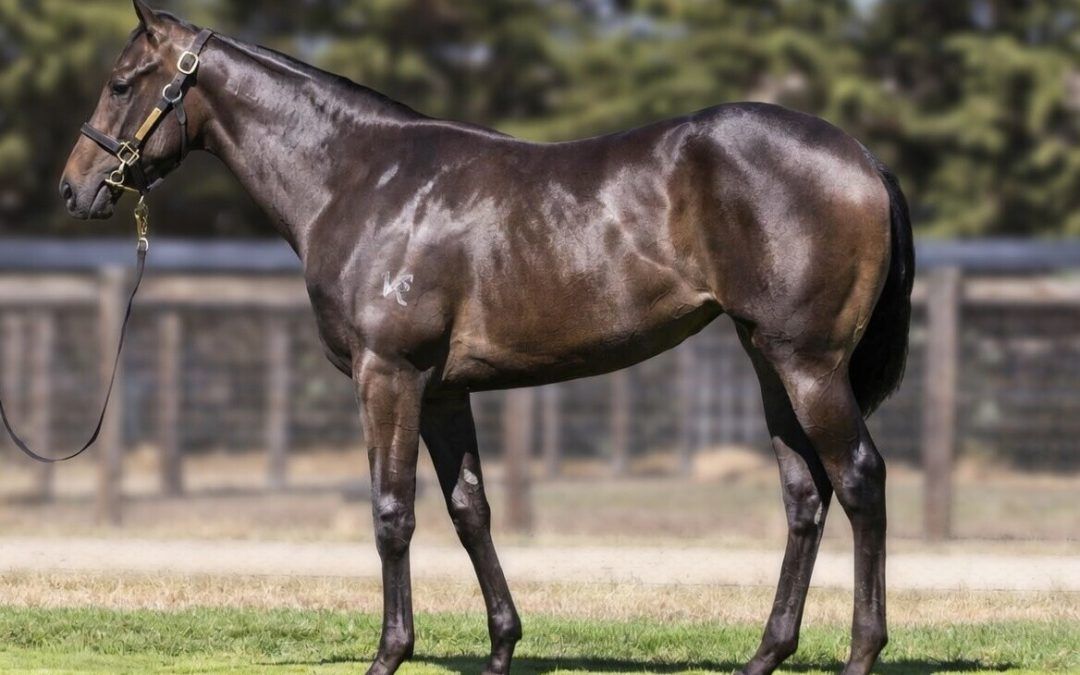 Trapeze Artist – Weekend Gossip