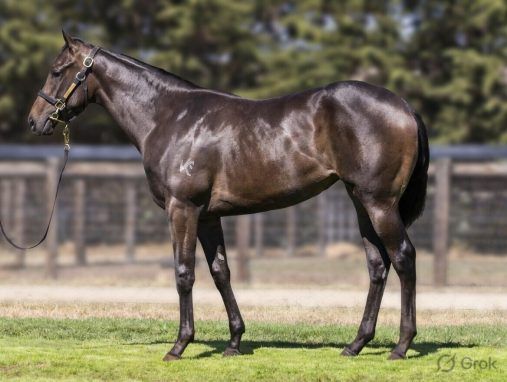 Trapeze Artist - Weekend Gossip