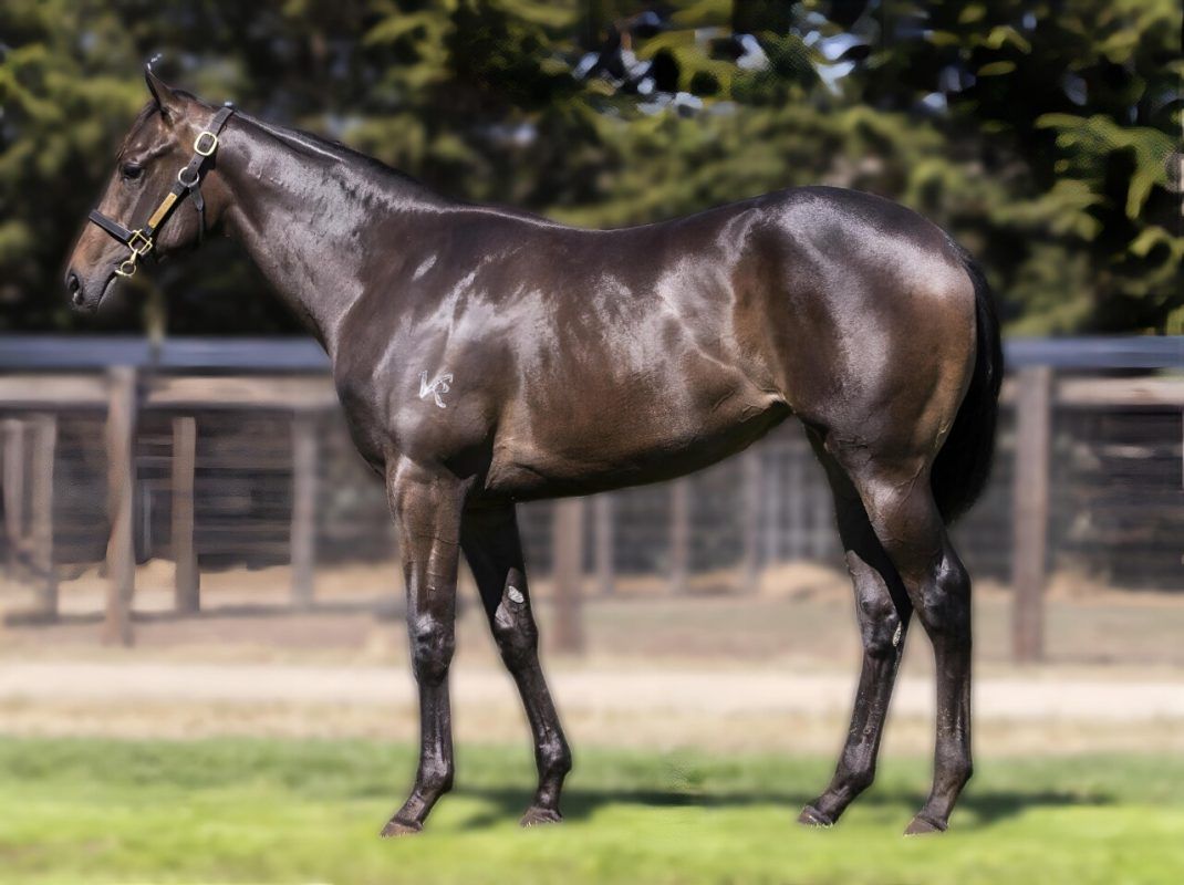 Trapeze Artist – Weekend Gossip