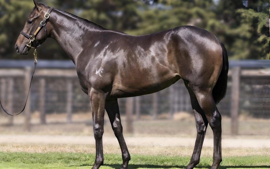 Trapeze Artist – Weekend Gossip