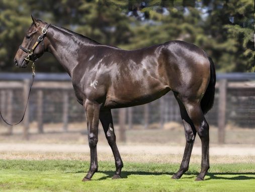 Trapeze Artist - Weekend Gossip