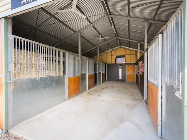 Spelling & Breeding Facilities 5 600x450.jpg