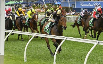 Scott lands a TAB Highway winner at Rosehill