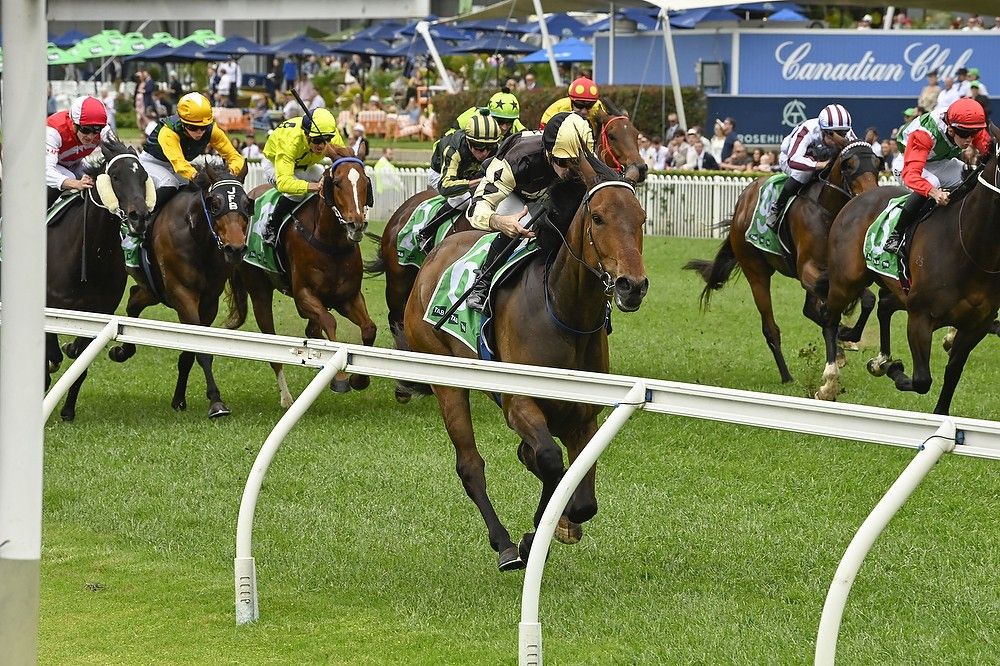 Scott lands a TAB Highway winner at Rosehill