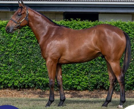 Spirit Of Boom - Trail Of Glory