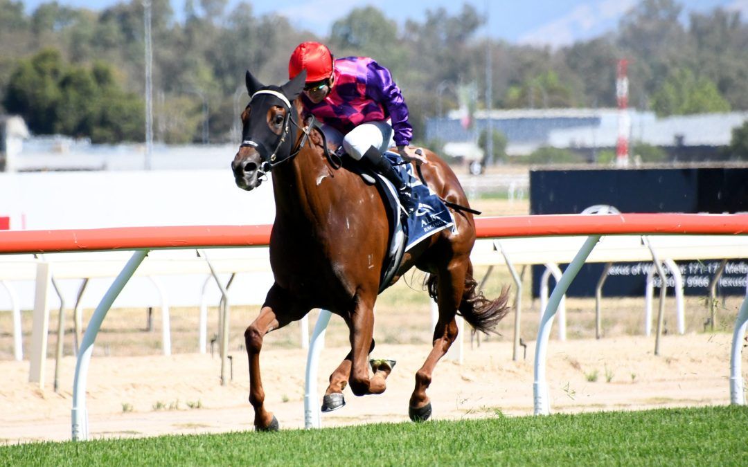 Sizzleist Breaks Maiden at Albury