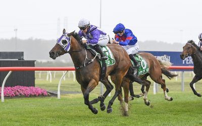 Bon Holler storms home to take the TAB Highway at Kembla Grange