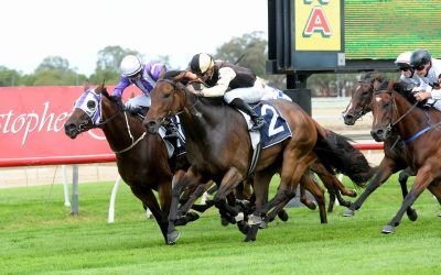 Donna Scott Celebrates Double Success and Country Championship Quinella