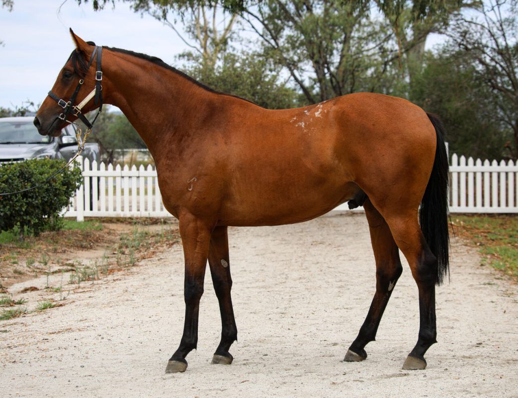 Written By X Greselin