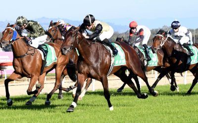 Mr Avery Announces Himself with Impressive Albury Maiden Win