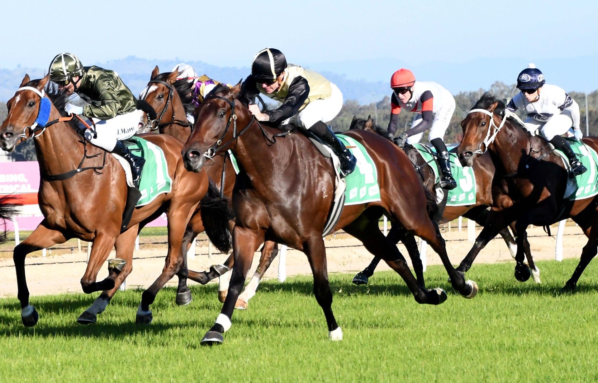 Stable News - Hazel Park Racing