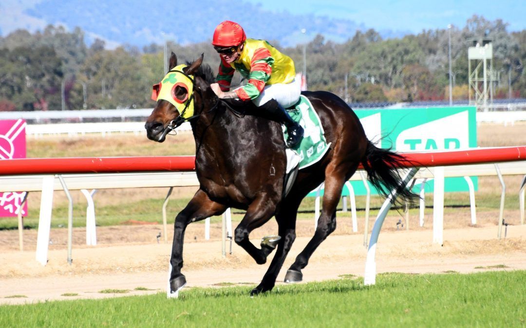 Just Hear Me Out Continues Strong Form with Albury Victory
