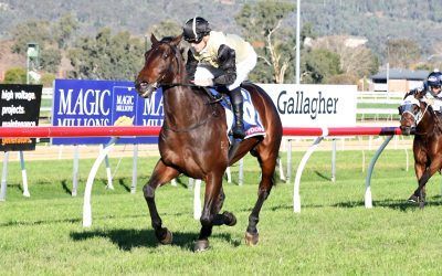 Mr Avery Continues Winning Form at Wagga