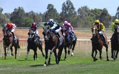 Valknut returns to form with flying win at Dubbo