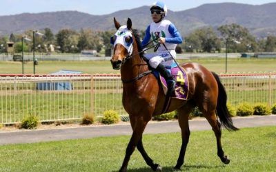 David Smith’s The Scotsman crowned the win at Mudgee race