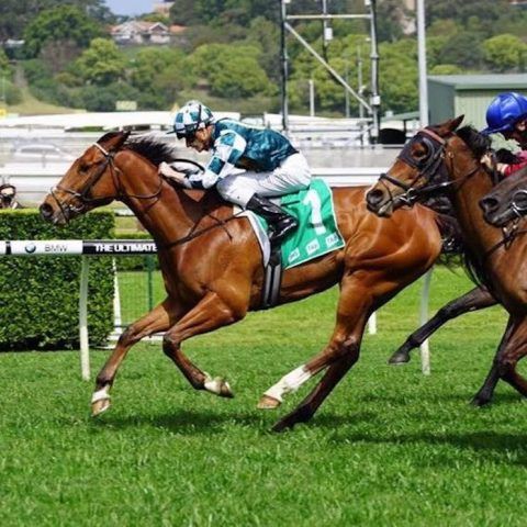 Home - David J Smith Racing