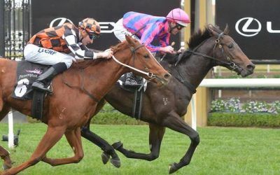 Goldifox Slashing 2nd at Flemington