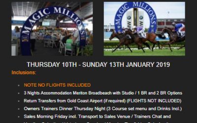 MAGIC MILLIONS TOUR