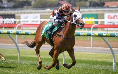 GOLDIFOX dominates in Maiden win…