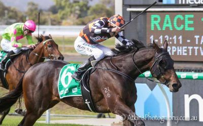 SHE SHAO FLY WINS GR3 SIRES PRODUCE STAKES