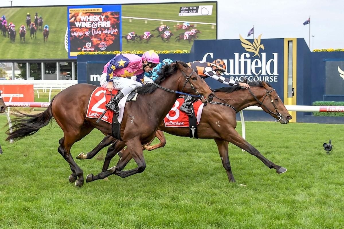 THE ASTROLOGIST A SHOOTING STAR - Best Horse Racing Syndicates ...