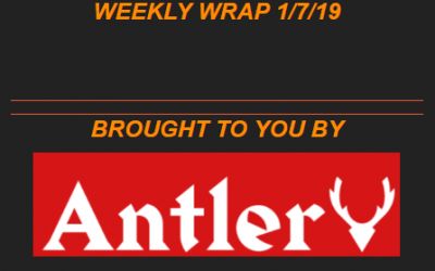 Weekly Wrap