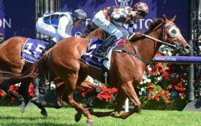 GOLDIFOX TOO CLASSY AT FLEMINGTON