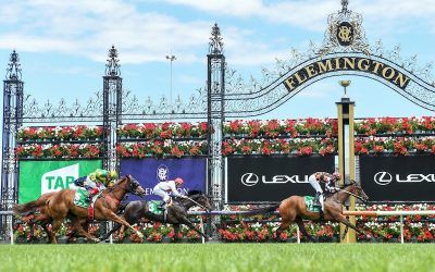 ZOU DANCER SENDS AN EARLY CHRISTMAS GIFT AT FLEMINGTON