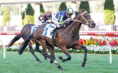 DAYAN START RUNS WELL AT THE VALLEY