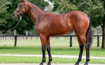 EXCTING FIRST EASTER SALE PURCHASE FOR BENNETT RACING 