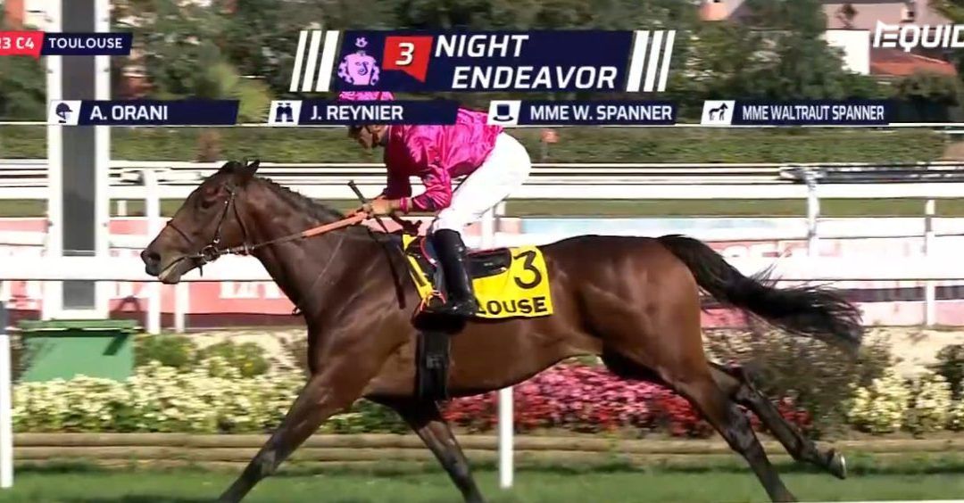 Night Endeavor